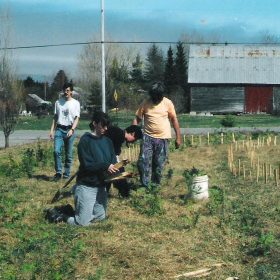 Bénévoles plantant les arbres du labyrinthe