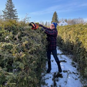 Entretien du labyrinthe en hivers