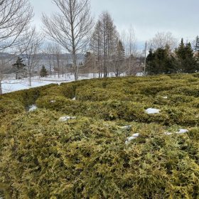Labyrinthe en hivers
