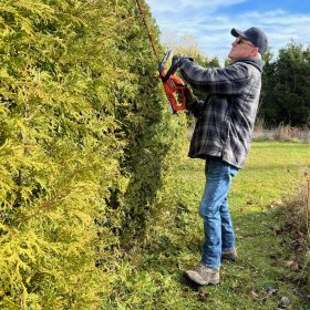 Entretien du labyrinthe